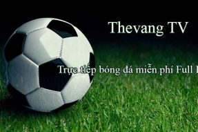 Thevang Tv – Kênh Xem Trực Tiếp Bóng Đá Đỉnh Cao