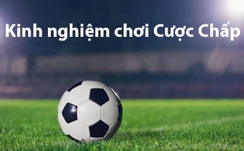 Hướng dẫn cách chọn kèo 1.75 đạt hiệu quả cao