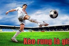 Kèo rung là gì? Kinh nghiệm soi kèo rung chuẩn xác nhất