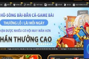 i9bet team – Nhận Định về Nhà Cái Hot Hit Hiện Nay