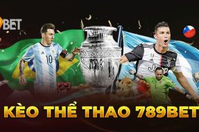 Cá Cược Thể Thao Tại 789Bet: Một Trải Nghiệm Khác Biệt