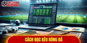 cách đọc kèo bóng đá