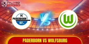 Paderborn vs Wolfsburg